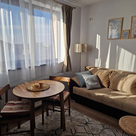 Craitelor Boutique Airport Apartment Otopeni Extérieur photo