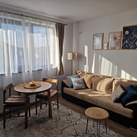 Craitelor Boutique Airport Apartment Otopeni Extérieur photo