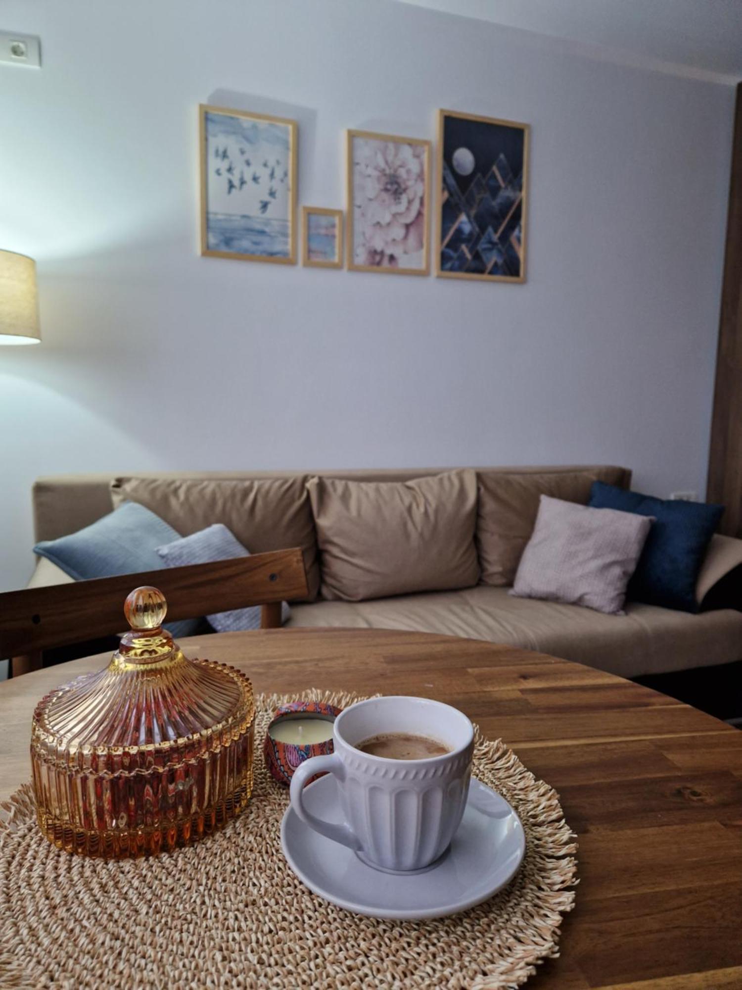 Craitelor Boutique Airport Apartment Otopeni Extérieur photo